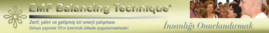 EMF logo - click for Home Page
