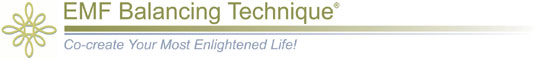 EMF logo - click for Home Page